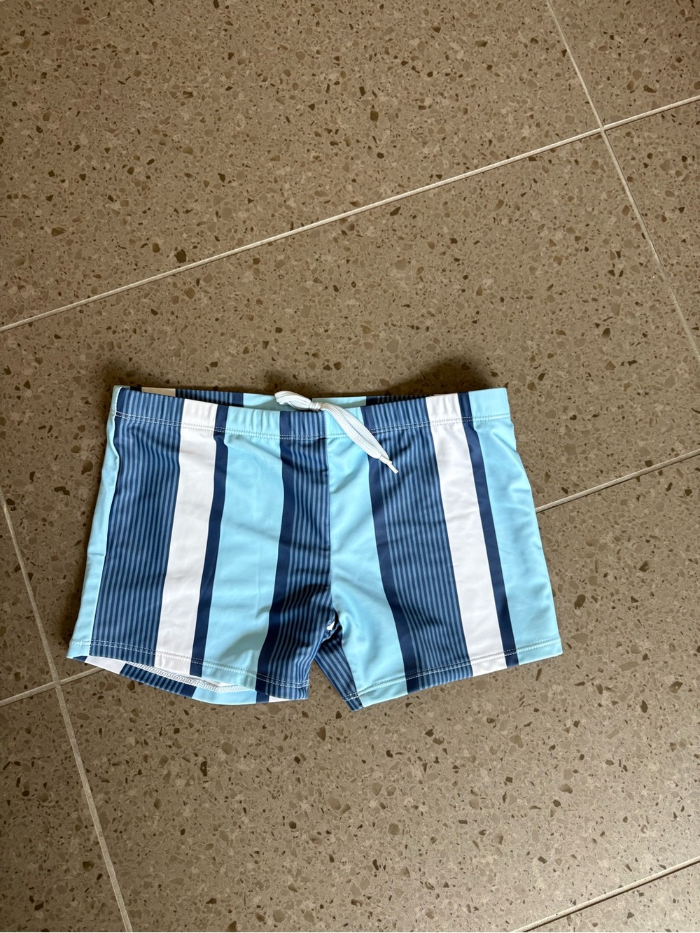 Easejuicy Men’s  Blue Striped Swim Shorts